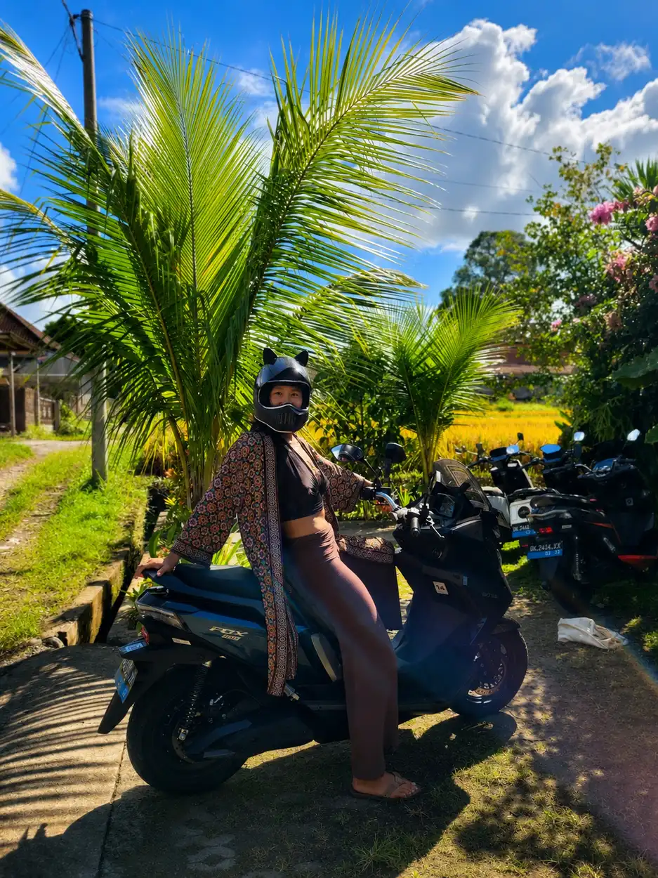Rider with a teal electric motorbike beside golden rice paddies
